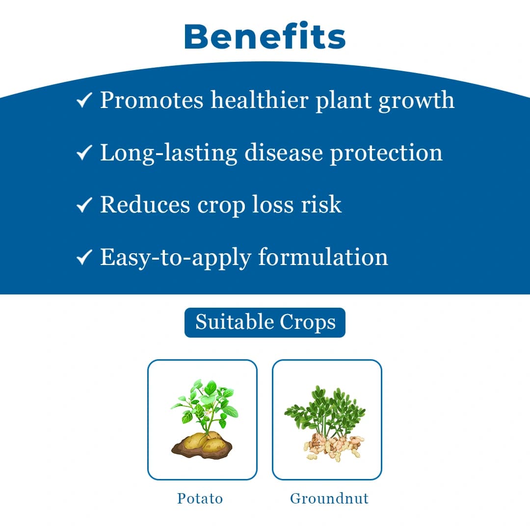 Coromandel Jatayu Chlorothalonil 75% WP Fungicide, A Broad Spectrum Contact Fungicide and is Highly Effective Against Anthracnose. - Image 4