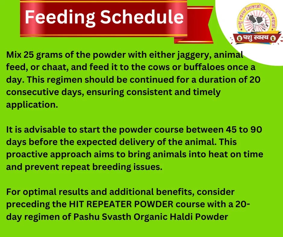 PASHU SVASTH HIT REPEATER POWDER, Natural Herbs Formula For Improved Fertility And Preventing Repeat Breeding In Cows And Buffaloes - Image 3