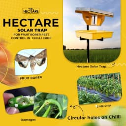 Hectare Automatic Solar Insect Trap with 10 watt Solar Panel UV Light. To capture all types of Insects of Crops. 6