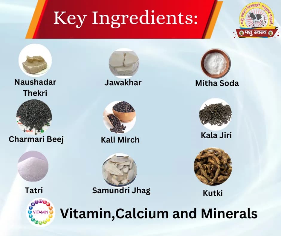 PASHU SVASTH THUN SURAKSHA, Animal Health Supplements, Natural Solution, Efficient Bovine Mastitis (Thanela) And Udder Health - Image 5