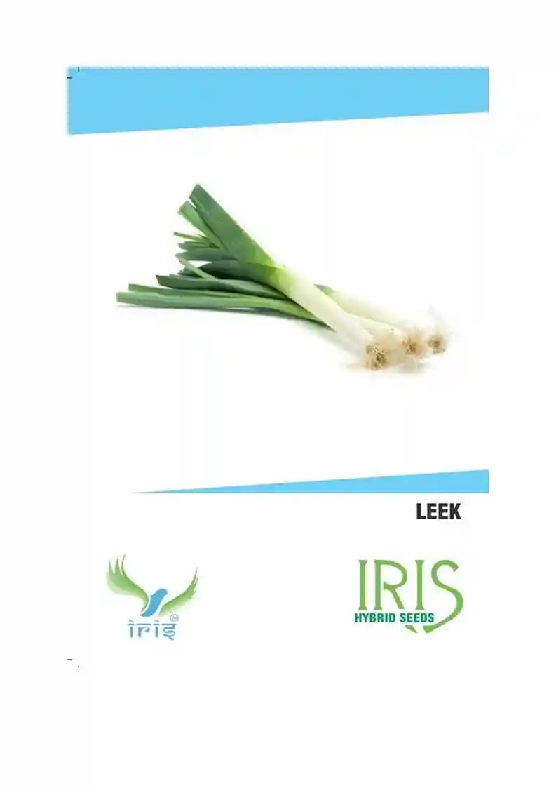 Iris Hybrid Vegetable Seeds Leek (30 Seeds). Specially for Terrace and Balcony. Suitable for all seasons - Image 1