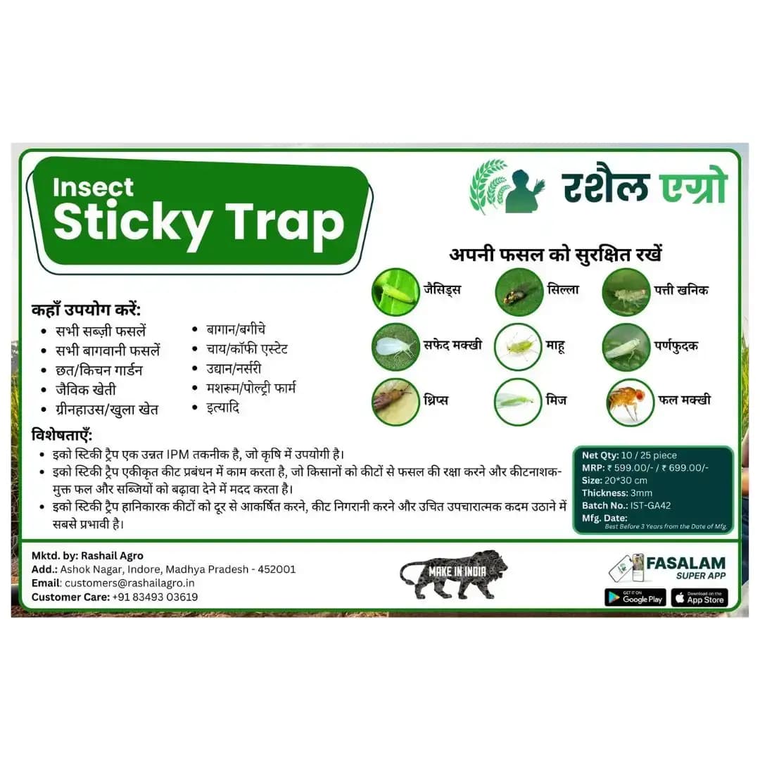 Rashail Insect Stick Trap, IPM Glue Trap - 200 x 300 x 3mm, A4 Size, Combo Of Yellow And Blue Sticky Trap For The Insects (10 Sheets) - Image 2