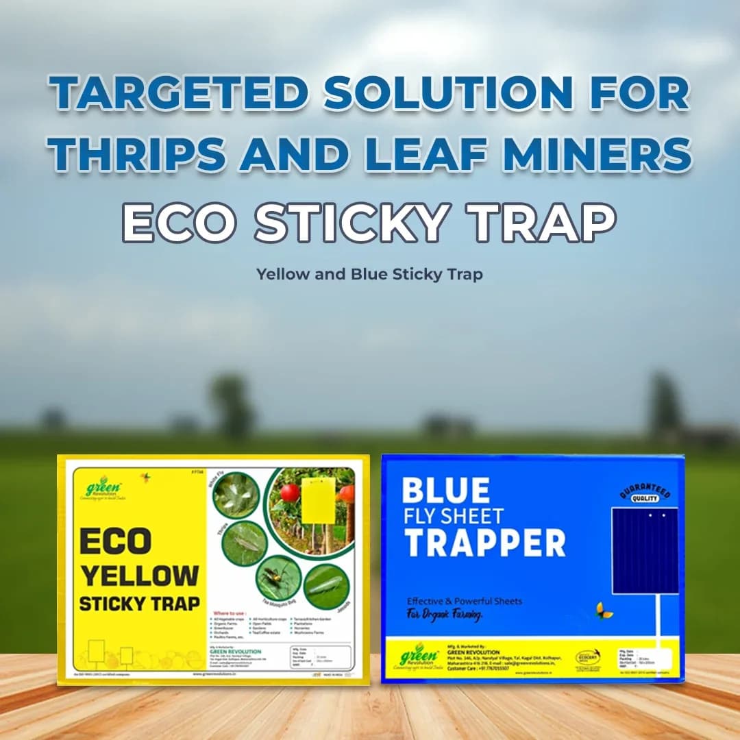 Green Revolution A5 Size Blue Sticky Traps - 150 mm x 200 mm - Image 3