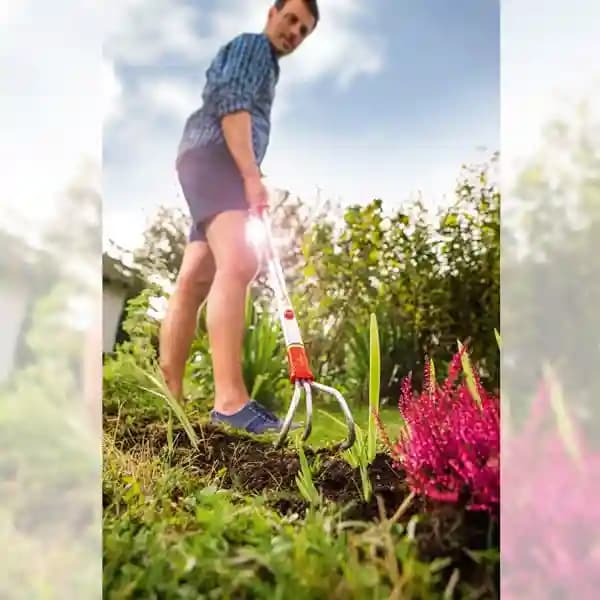 वोल्फ गार्टेन ग्रुब्बर (बीए-एम) 9 सेमी, मल्टी स्टार ग्रुब्बर बिना हैंडल, बागवानी उपकरण - Image 5