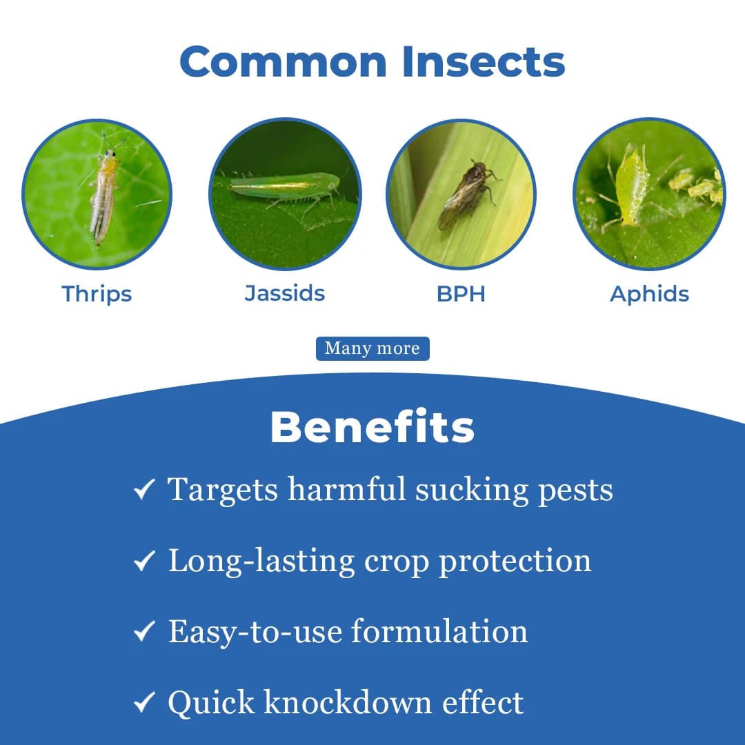 Bayer Admire Imidacloprid 70% WG (70% ww) Contact And Systemic Insecticide, Effective Against Various Insect - Image 3