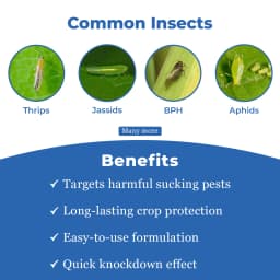 Bayer Admire Imidacloprid 70% WG (70% ww) Contact And Systemic Insecticide, Effective Against Various Insect 3