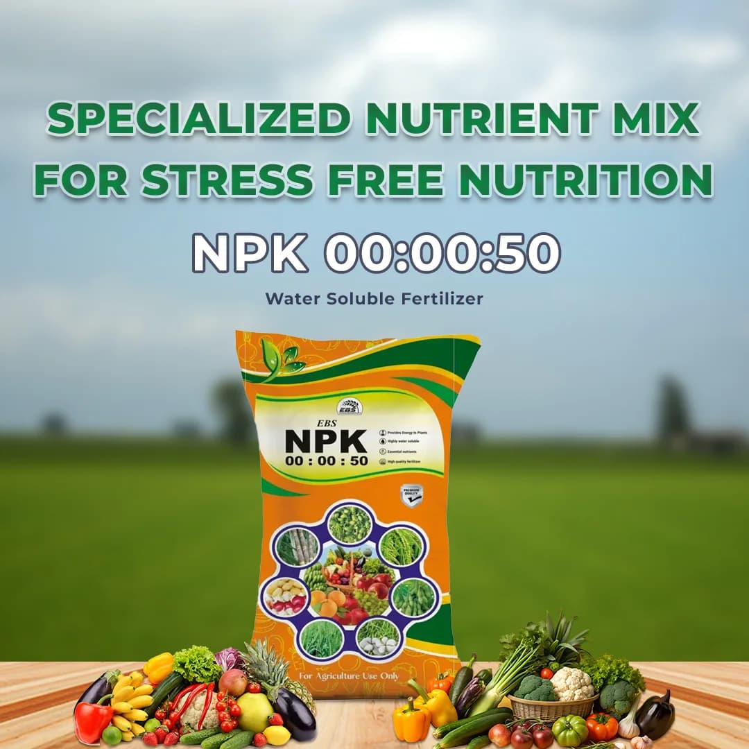 EBS NPK 00:00:50 - Potassium Sulphate Fertilizer - Image 2