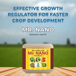 Bhumi Mr. Nano (Jasmonic Acid 1%) Nano Technology Based Flower Booster, Increases The Number Of Flowers In Crops & Also Reduces Flower Fall 2
