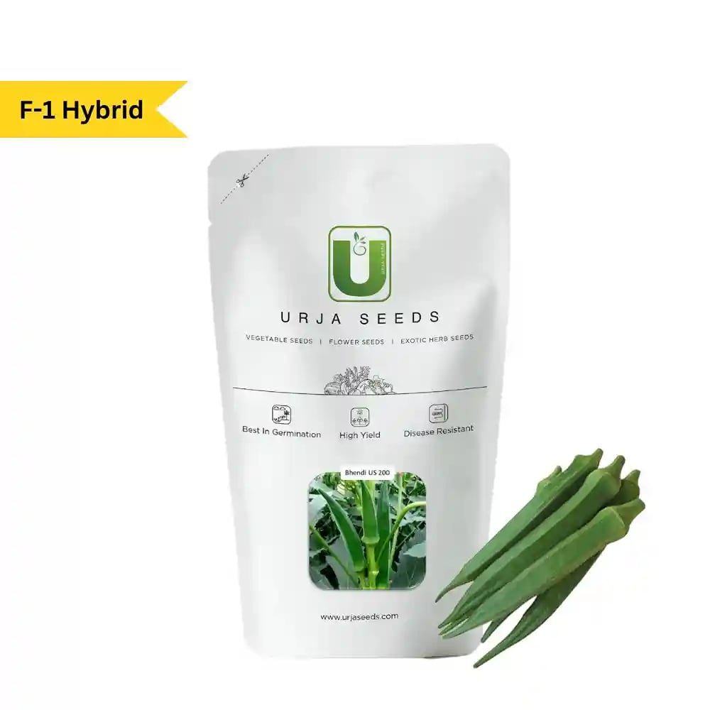 Urja US-200 Okra Seeds - Bhindi Seeds