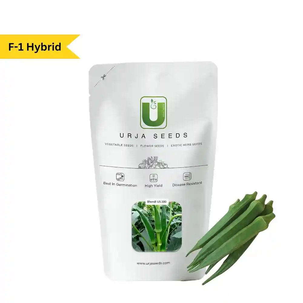 Urja F1 Hybrid US 200 Bhindi Seeds, Dark Green Colored Fruits and Medium Height Plants
