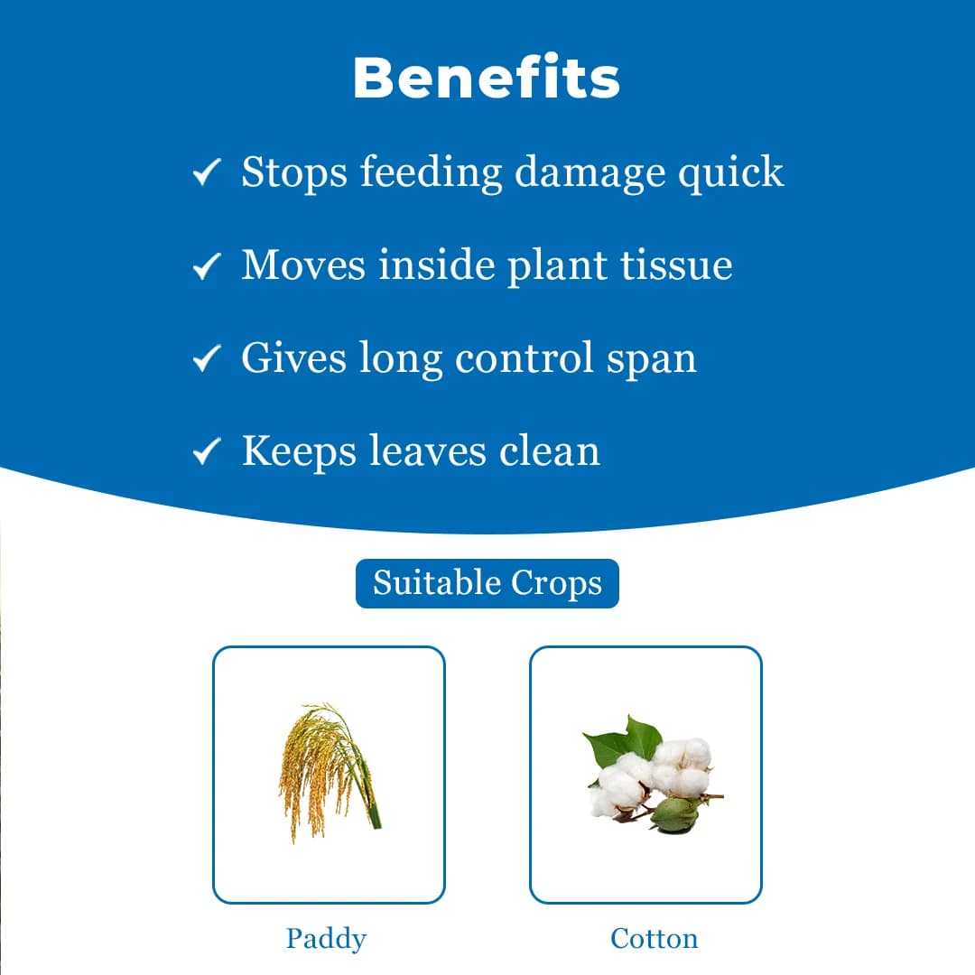 EBS Aura-20 Insecticide - Image 4