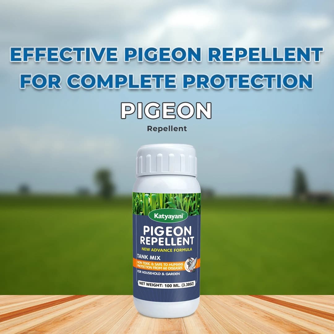 Katyayani Pigeon Repellent - Image 2