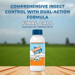 Agriventure Final Call (Pyriproxyfen 10% + Bifenthrin 10% Ec) Insecticides, White Fly, Thirps & Mites Control Insecticide 2