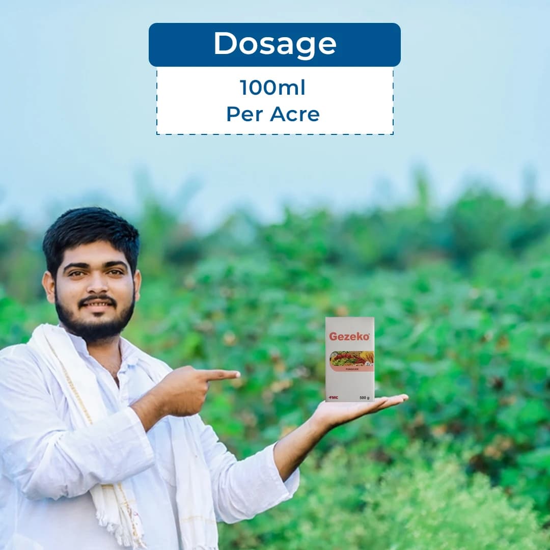 FMC Gezeko Tebuconazole 50% + Trifloxystrobin 25% WG. Broad Spectrum Systemic Fungicide - Image 5