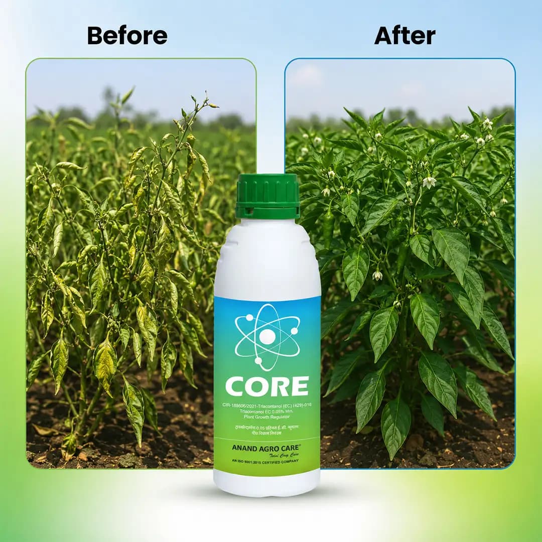 Core Growth Regulator - Triacontanol 0.05% EC - Image 7