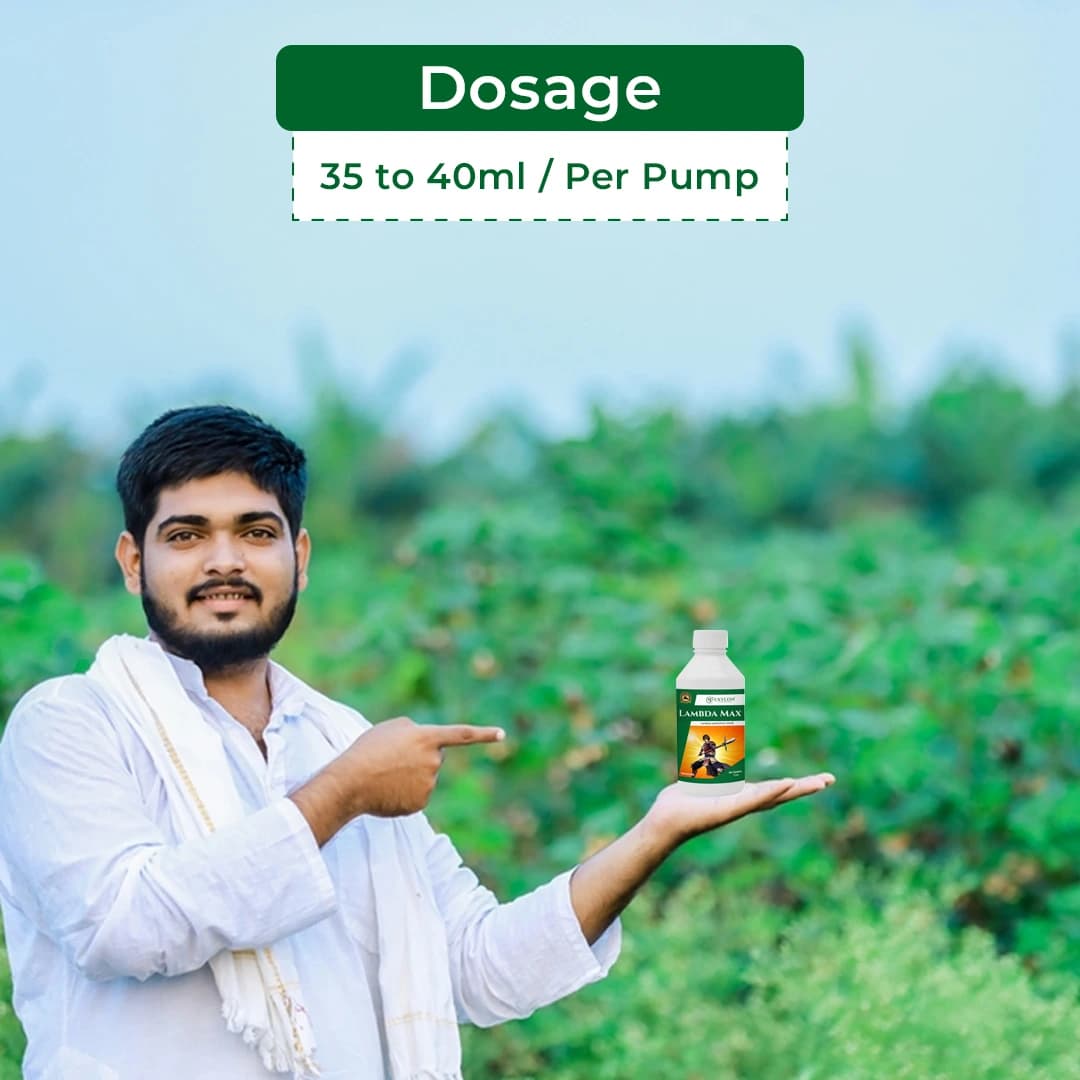 Exylon LambdaMax Lambda Cyhalothrin 5% EC Insecticide, Fast Knockdown And Lasting Control Of Bollworms, Aphids And Whiteflies In Crops - Image 5