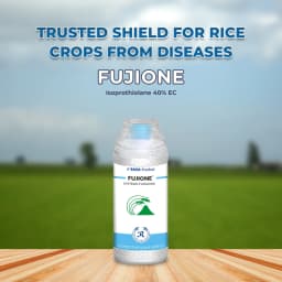 Tata Rallis FUJIONE Isoprothiolane 40% EC Systemic Fungicide With Protective and Curative Action 2