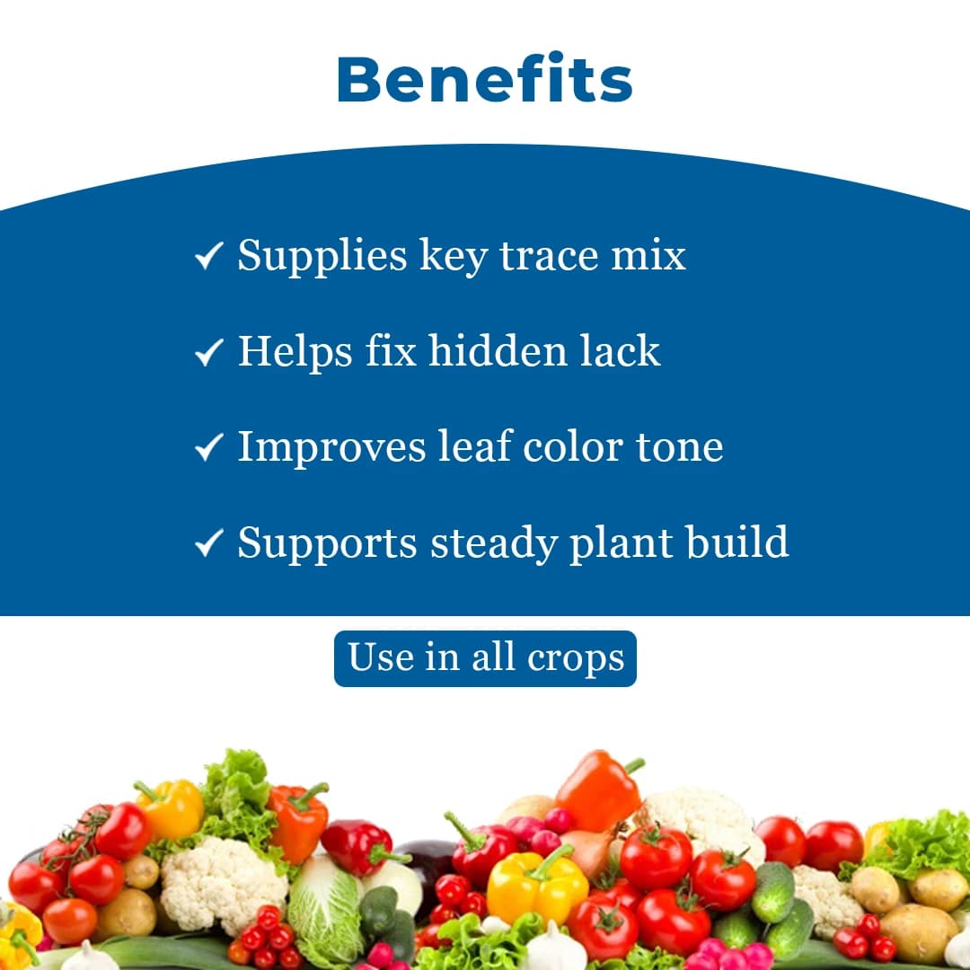 Anand Agro Instafert X Combi Contain Amino Chelated Forms Of Iron, Manganese, Zinc Copper, Boron, Molybdenum - Image 4
