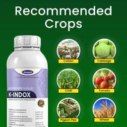 Katyayani K-Indox Indoxacarb 14.5% SC Insecticide, Effective Against Larva 4
