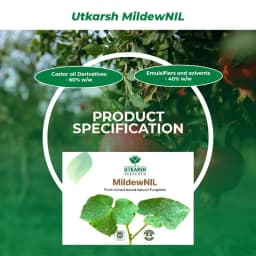 Utkarsh MildewNIL Plant Extract Based Natural Fungicide For Powdery And Downy Mildew 6