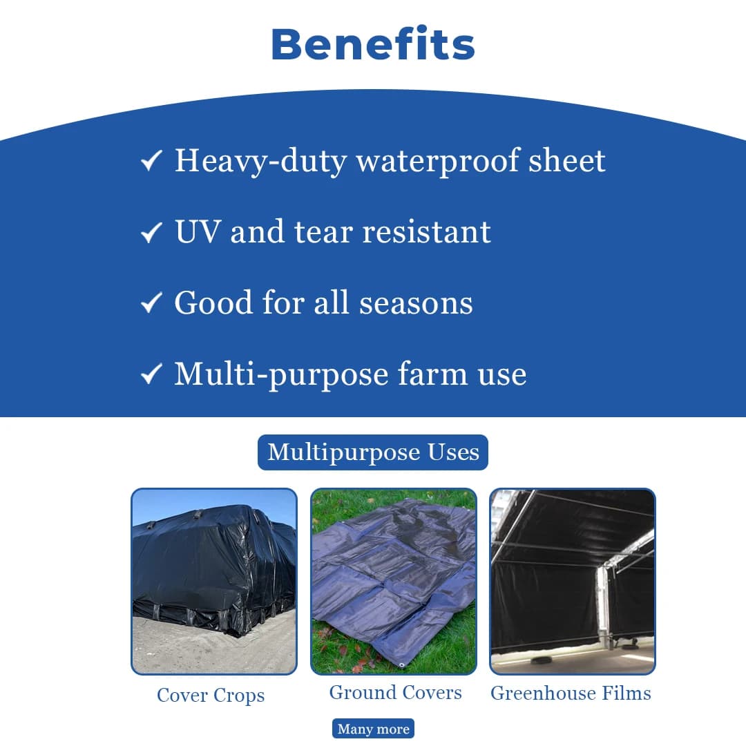 मिपाटेक्स तिरपाल, 150 जीएसएम, वाटरप्रूफ बहुउपयोगी उपयोग, एल्युमीनियम आईलेट्स के साथ पॉली ताड़पत्री। - Image 4