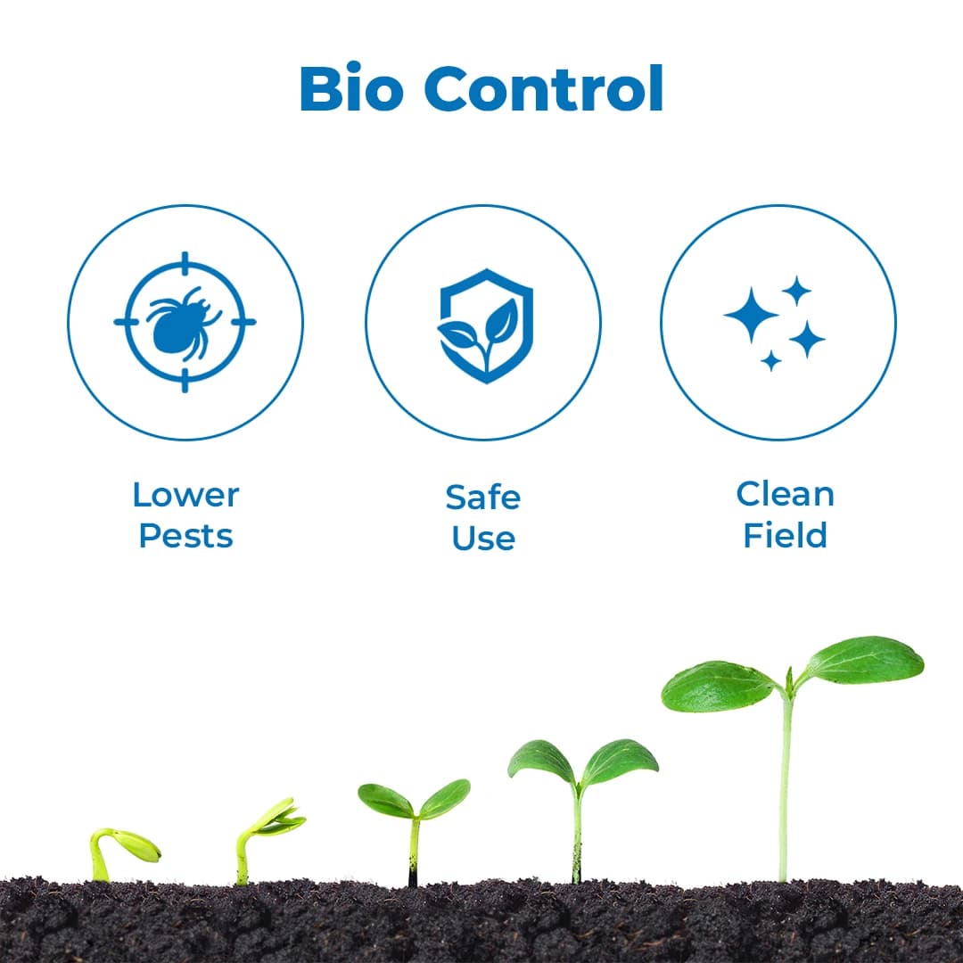 HEDO BVM (Beauveria bassiana + Verticillum Lecanii + Metarhizium Anisopliae) Liquid Bio Pesticide, Targets Many Pests, Including Aphids, Thrips, Etc - Image 3