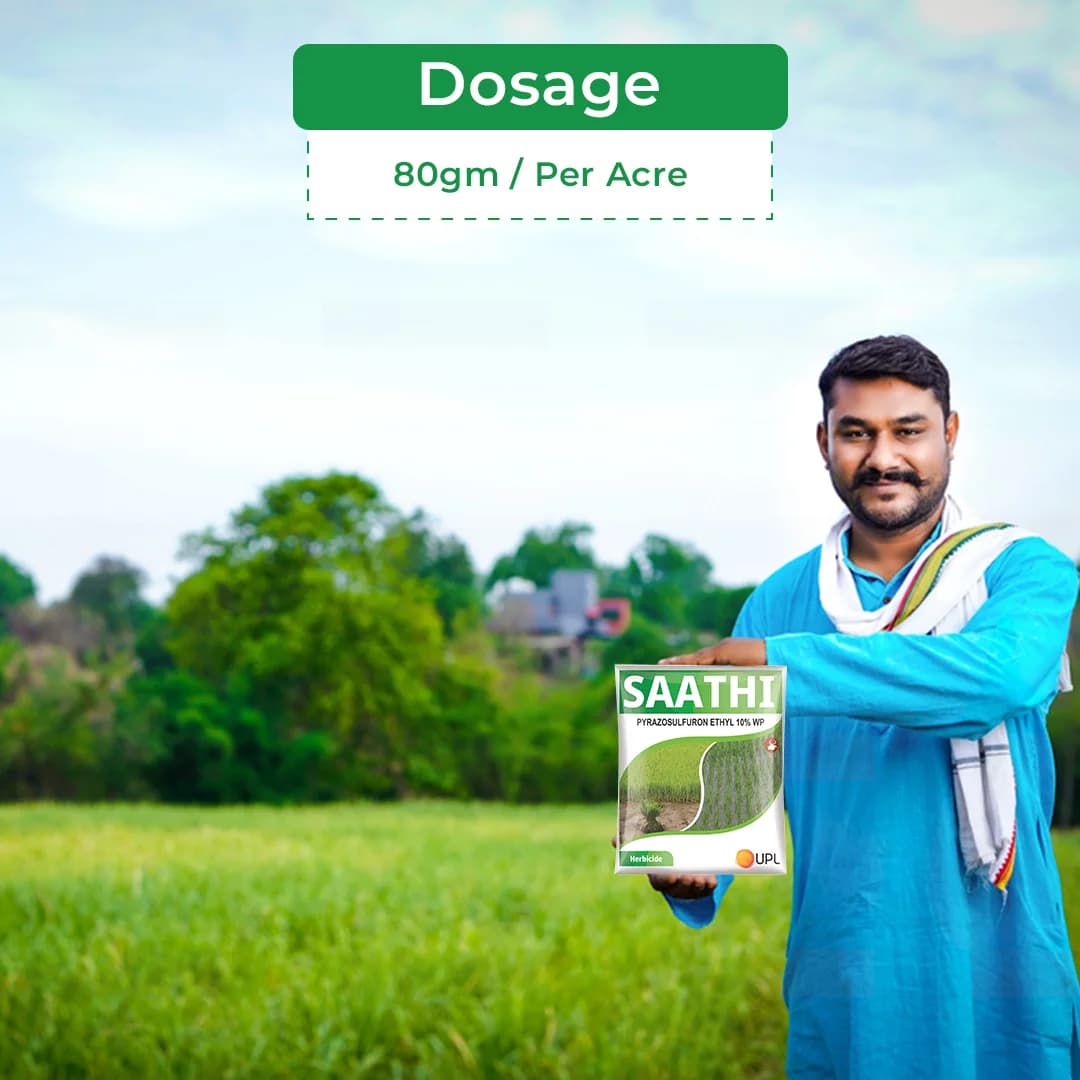 UPL Saathi Pyrazosulfuron Ethyl 10% WP Herbicide, Pre Emergence Systemic Weedicide Used in Paddy Crop to Control Grasses and Broad Leaf Weeds - Image 5