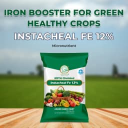 Instacheal Fe 12%, EDTA Chelated Ferrous 12%, EDTA Chelated Iron, Plant Nutrition, Micronutrient Ferrous 2