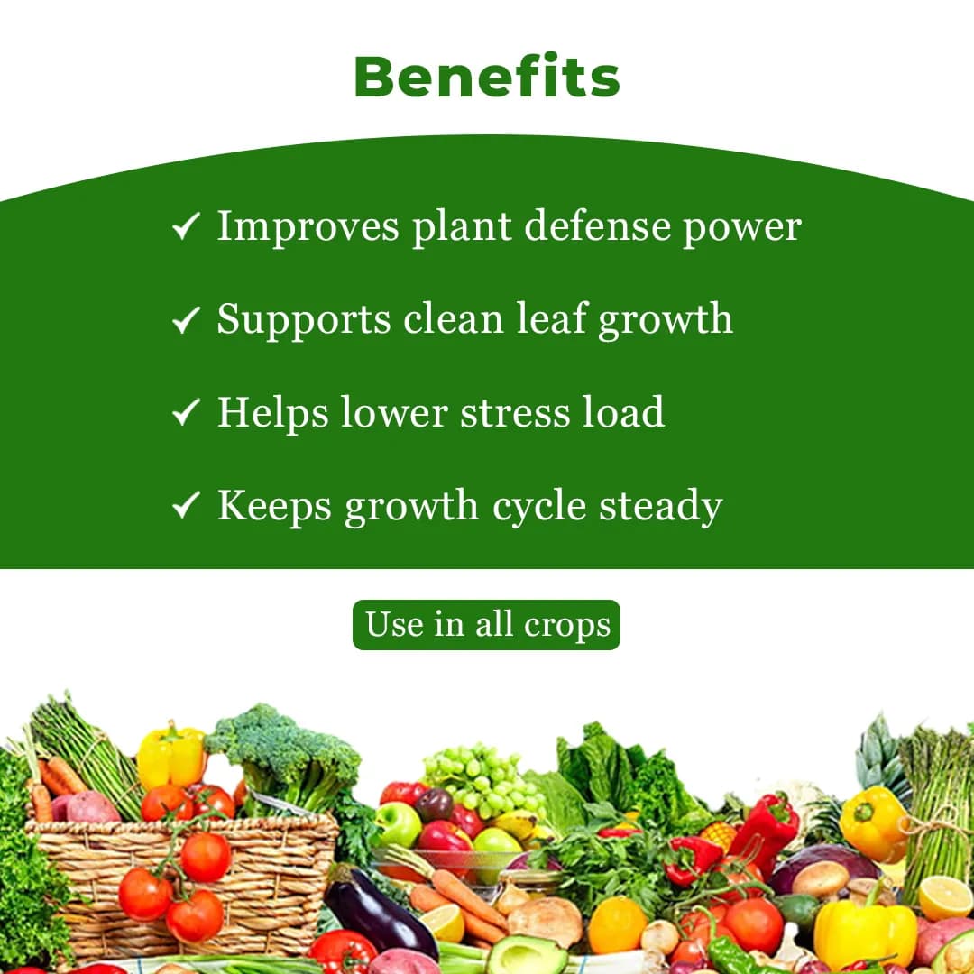 Geolife Geomycin Consortium Of Plant Extracts , Acts On Metabolic Processes Of Pathogens , Gives Complete Protection To Plant From Bacterial - Image 4