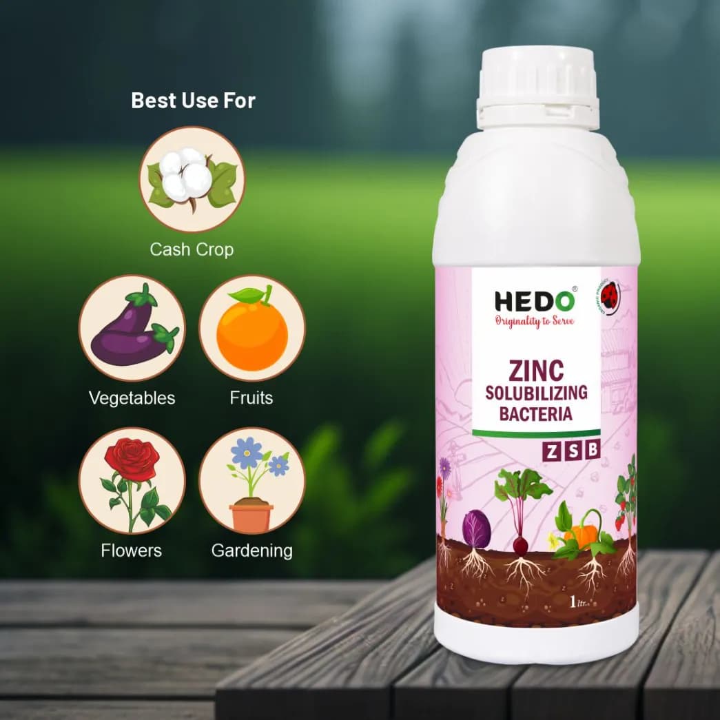 HEDO Zinc Solubilizing Bacteria (ZSB) Liquid Bio Fertilizer, For All Plants, Agricultural & Garden, Helps to Improves Soil Fertility - Image 2