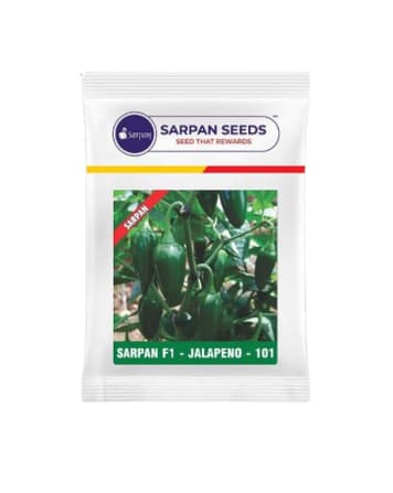 Sarpan F1 Jalapeno 101 Hybrid Chilli seeds, Mirchi ke Beej, Thick Skin, Firm fruits - Image 1