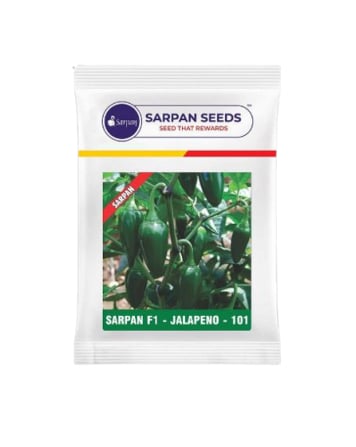 Sarpan F1 Jalapeno 101 Hybrid Chilli seeds, Mirchi ke Beej, Thick Skin, Firm fruits