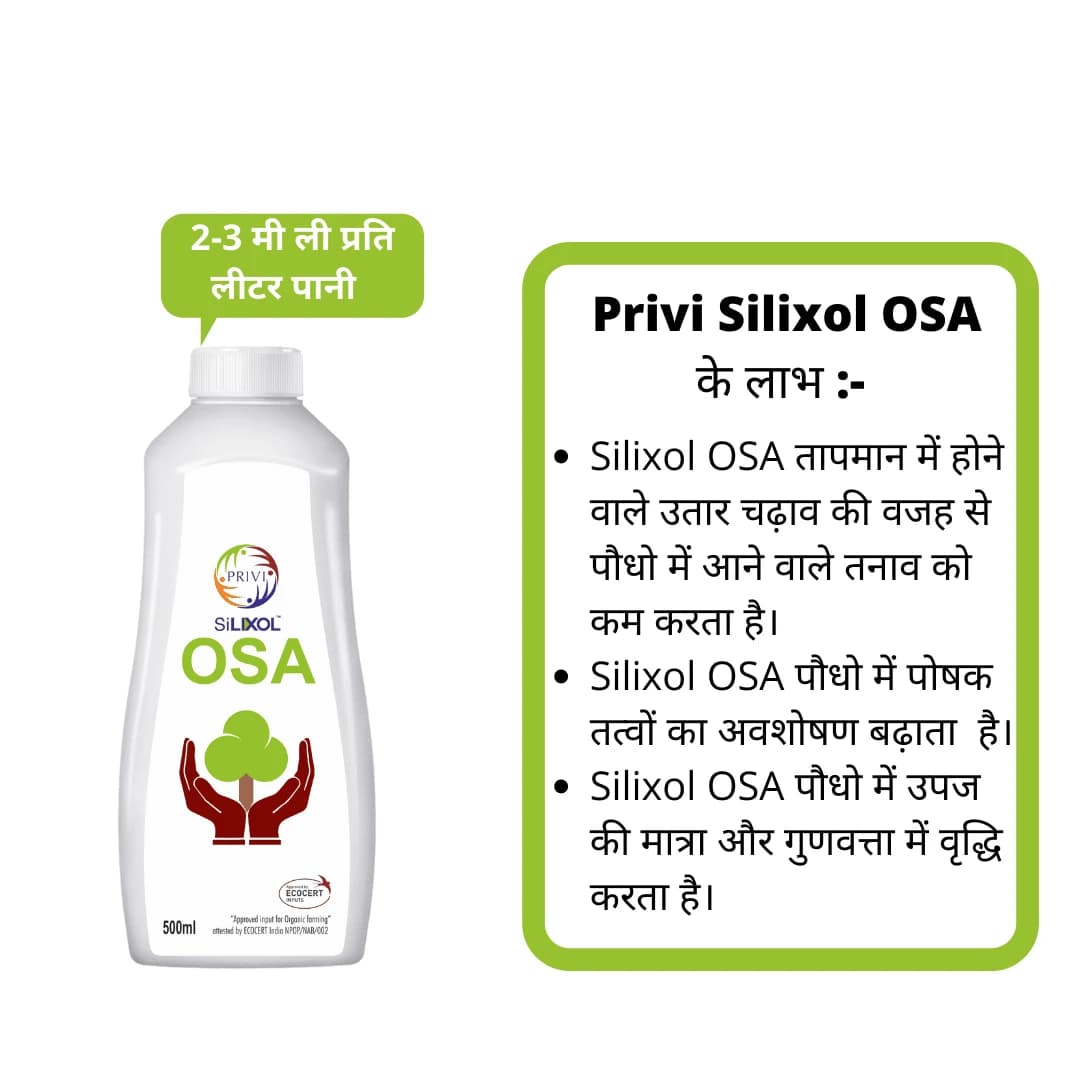 Privi Silixol OSA 2.0% Biological Fertilizer, Enhancing Crop Quality, Source Of Bioavailable Silicon For Better Plant Growth - Image 2