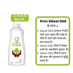 Privi Silixol OSA 2.0% Biological Fertilizer, Enhancing Crop Quality, Source Of Bioavailable Silicon For Better Plant Growth 2