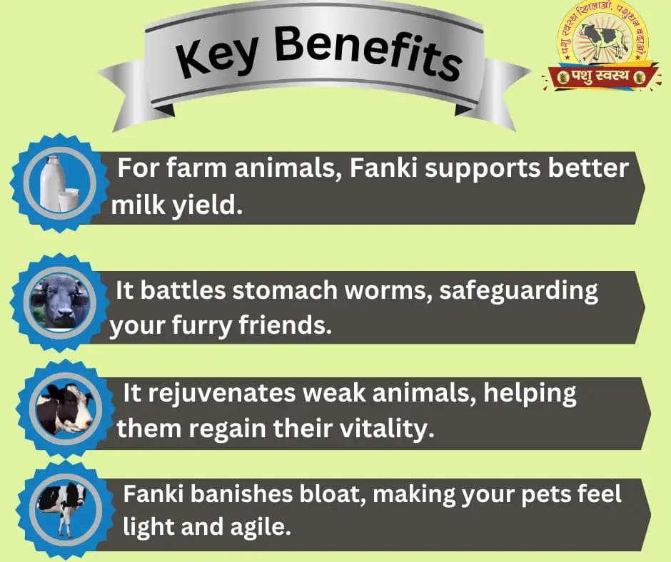 PASHU SVASTH Fanki Powder, Animal Health Supplements, Healthy Tummies, Happy Animals, Efficient For Cattle And Buffalos - Image 2