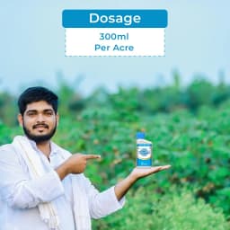 क्रिस्टल क्योतो (एज़ोक्सीस्ट्रोबिन 11% + टेबुकोनाजोल 18.3% एससी) फफूंदनाशक, फफूंद संक्रमण के विभिन्न चरणों पर नियंत्रण। 5