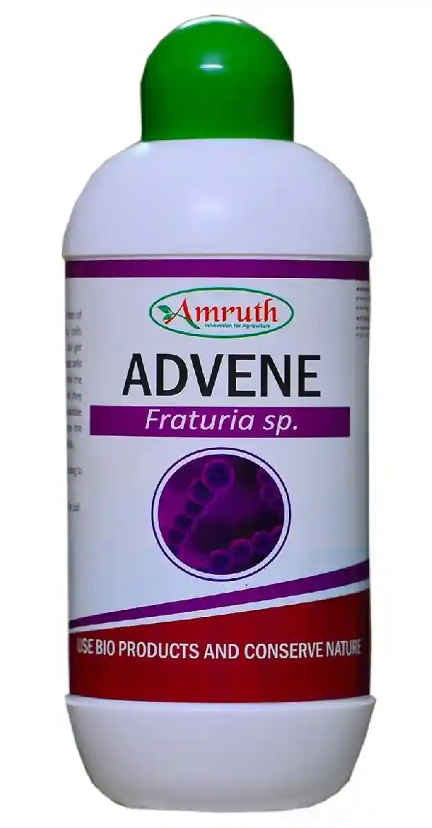 Amruth ADVENE (Fraturia Sp.), Based on Selective Strain Like Potash Solubilizing Bacteria