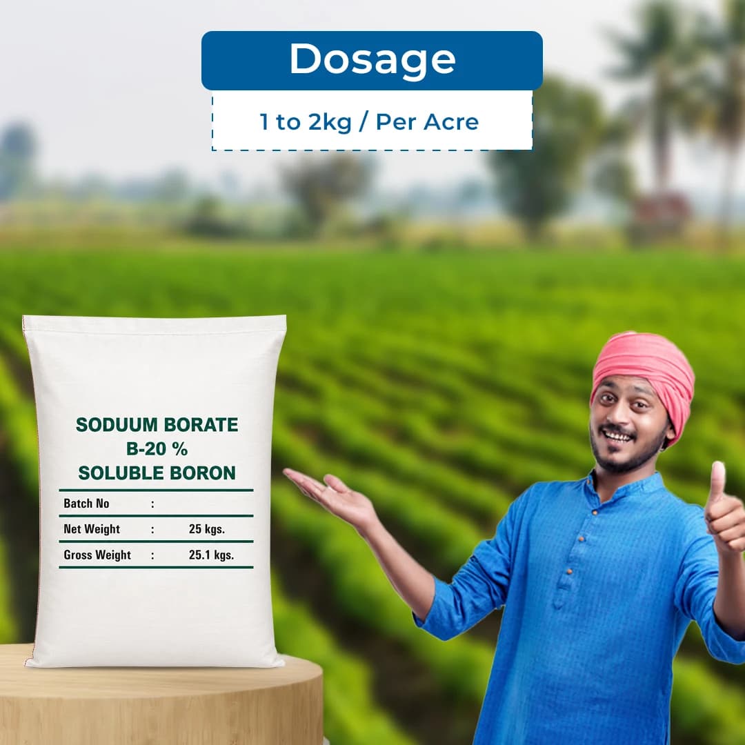 EBS Boron 20% Fertilizer - 25Kg - Image 6