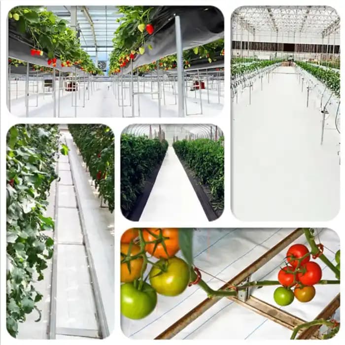 Singhal 150 GSM Weed Barrier Sheet, Landscape Fabric, Heavy Duty, Weed Block Gardening Mat For Gardens (White) - Image 7