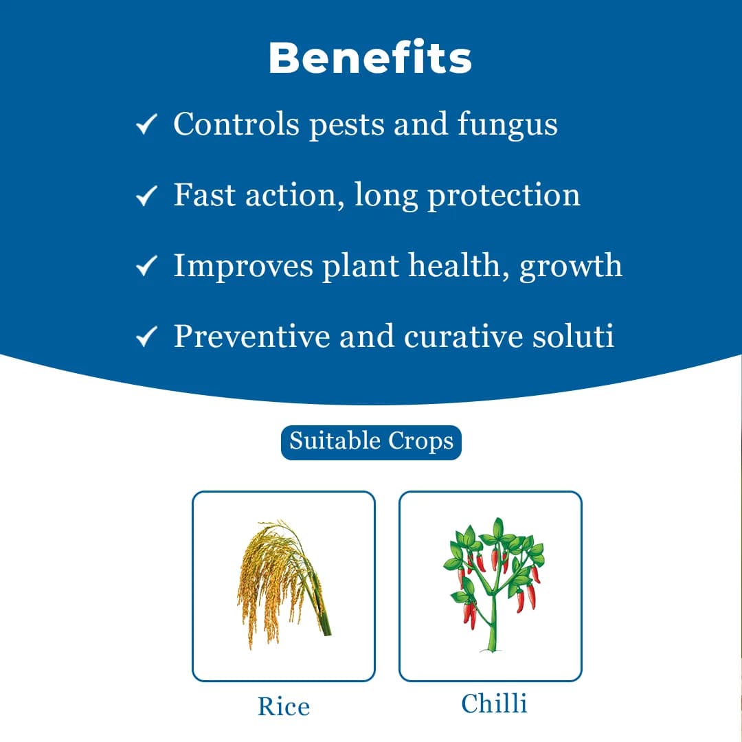 Gharda Joker Pyraclostrobin 10% + Fipronil 5% SC, Target Insect Pests In Chili and Rice - Image 4