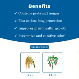 Gharda Joker Pyraclostrobin 10% + Fipronil 5% SC, Target Insect Pests In Chili and Rice 4