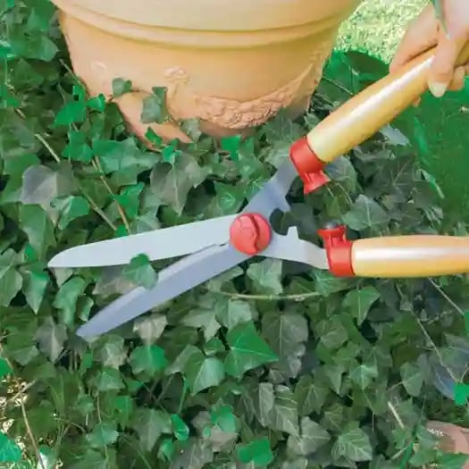 Wolf Garten Hedge Shears Special (HS-TL), 56 cm with Curved Blades, Easily Cut All Types Of Hedges And Shrubs