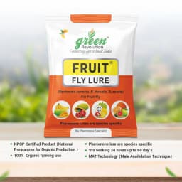 Green Revolution Yellow IPM Trap With Fruit Fly Lure, Efficient For Fruit Fly Control In All Fruit Crops 3