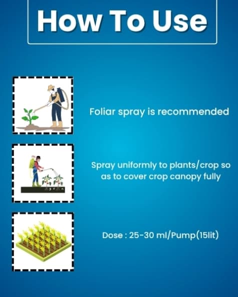 Katyayani Pro Grow - Plant Growth Regulator - Image 5