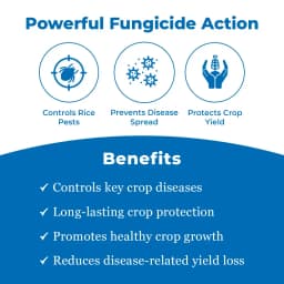IIL Pulsor (Thifluzamide 24% Sc) Systemic Fungicide , Can Control Sheath Blight (Rhizoctonia Solani) Diseases In Rice 3