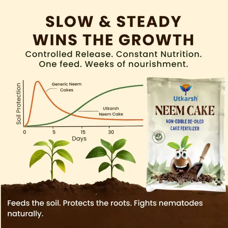 Utkarsh Neem Cake Organic Fertilizer, Soil Conditioner And Natural Pest Repellent For Healthier Plants - Image 3