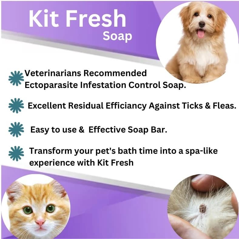 PASHU SVASTH KIT FRESH SOAP, Ayurvedic Pet Detergent And Natural Pest Repellent For Cattle And Happy Pets (75 Gm) - Image 4