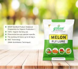 IPM Trap With Melon Fly Pheromone Lure For Controlling Bactrocera Cucurbitae. For Cucumber, Bottle Gourd, Bitter Gourd, Pumpkin, Water Melon 6