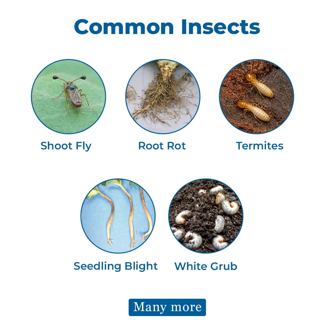UPL Electron - Insecticide + Fungicide - Image 3