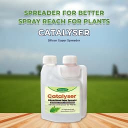 Katyayani Catalyser Silicon Super Spreader for Plants & Garden, Contain Natural Silica, Increase Crop Production, Reduces Loss Of Nutrients 2